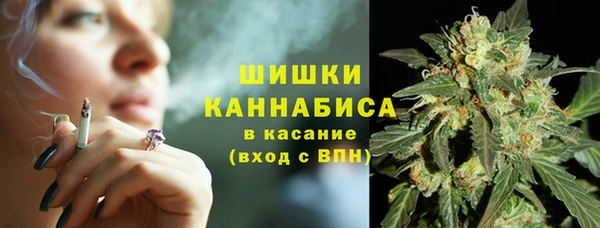 дмт Заволжск