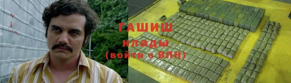 прущие грибы Елизово