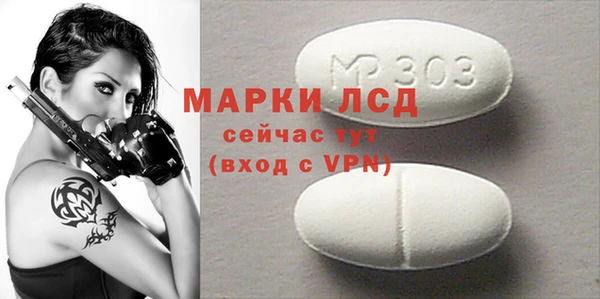 прущие грибы Елизово