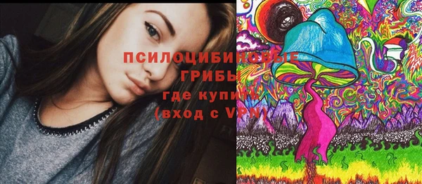 jwh Ельня