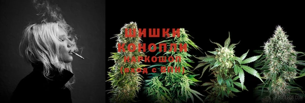 прущая мука Елабуга