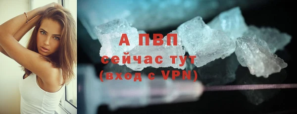 прущие грибы Елизово