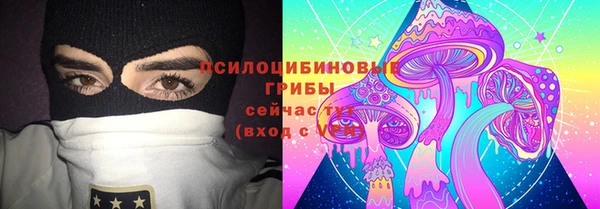 jwh Ельня