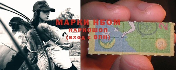 прущие грибы Елизово