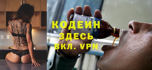 прущие грибы Елизово