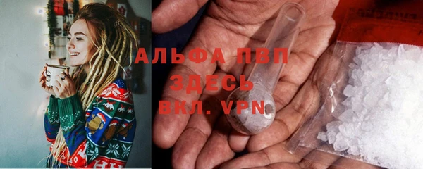 прущие грибы Елизово